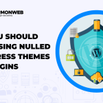 Why You Should Avoid Using Nulled WordPress Themes and Plugins