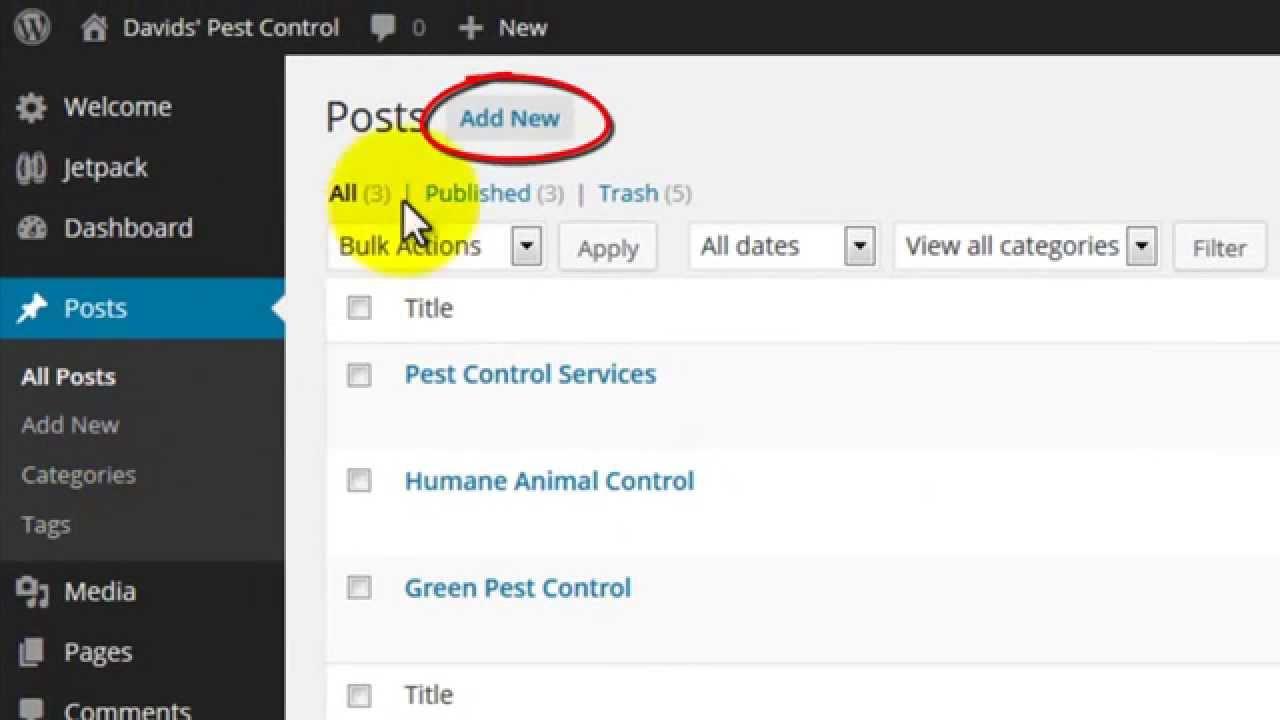 How to Create a post in WordPress