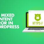 How to Fix the Mixed Content Error in WordPress 