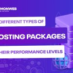 Different Types of Web Hosting Packages and Their Performance Levels