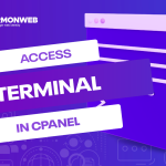 How To Access Terminal in cPanel