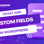 custom fields in wordpress