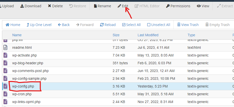 selecting wp-config.php