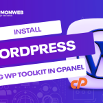 install wordpress with wp toolkit