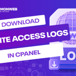 Raw access logs of website