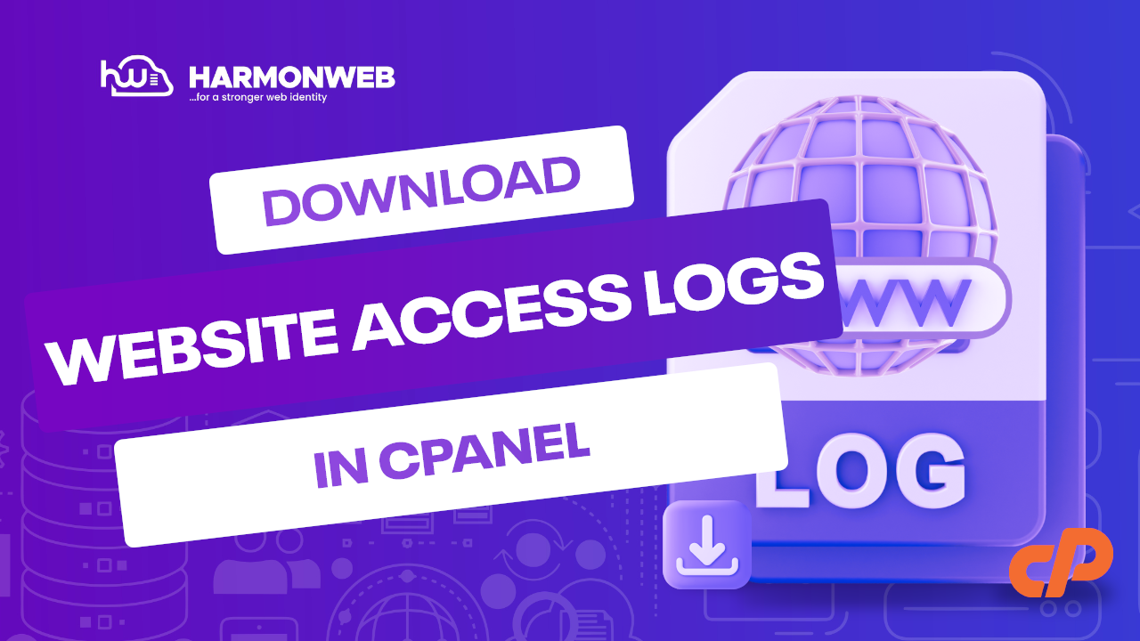 Raw access logs of website