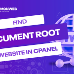 Document root of website