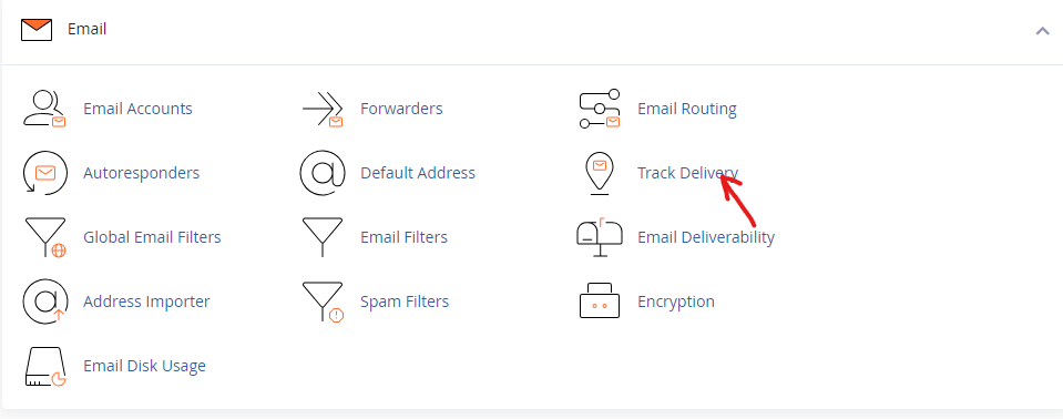 track email delivery on cPanel