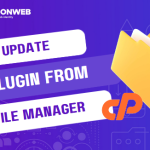 update wordpress plugin in your file manager