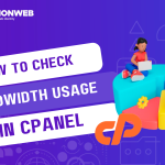 check bandwidth usage in cPanel.