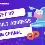 set up a default email address in cPanel