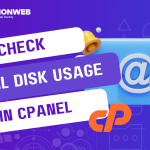 check email disk usage in cpanel