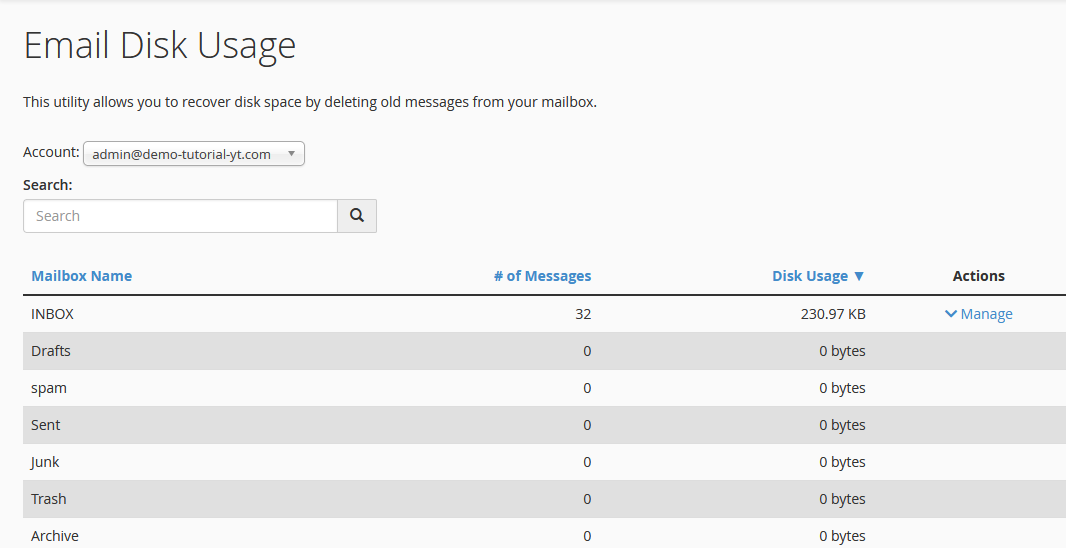 check email disk usage in cPanel