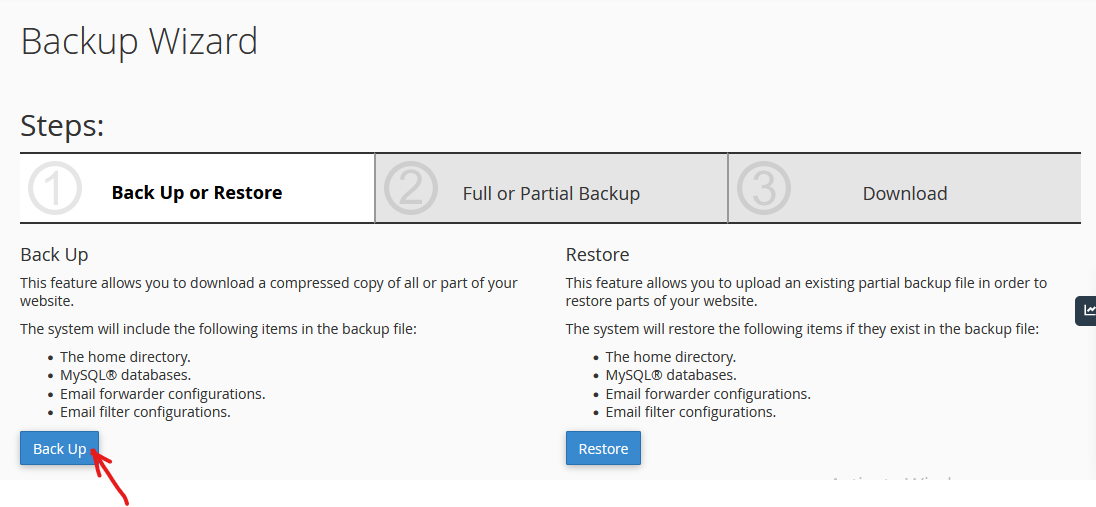 full backup with Backup Wizard in cPanel