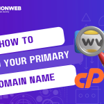 find your primary domain name