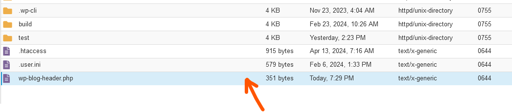 copy a file in File Manager