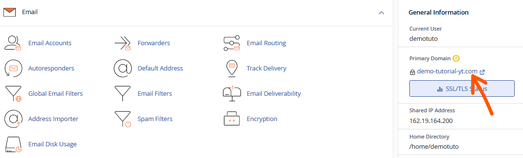 find your primary domain name