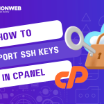 import SSH keys in cPanel