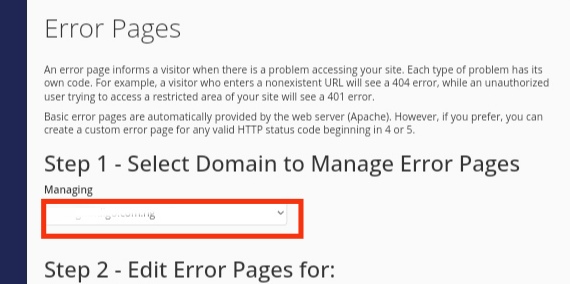 custom error page in cPanel