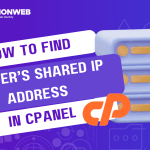 How To Find Your Server’s Shared IP Address Using cPanel