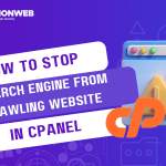 How to Stop Search Engines from Crawling your Website