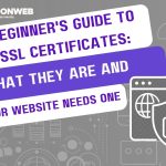 Beginner's Guide to SSL Certificates