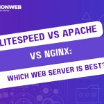 LiteSpeed vs Apache vs NGINX: Which Web Server Is Best?